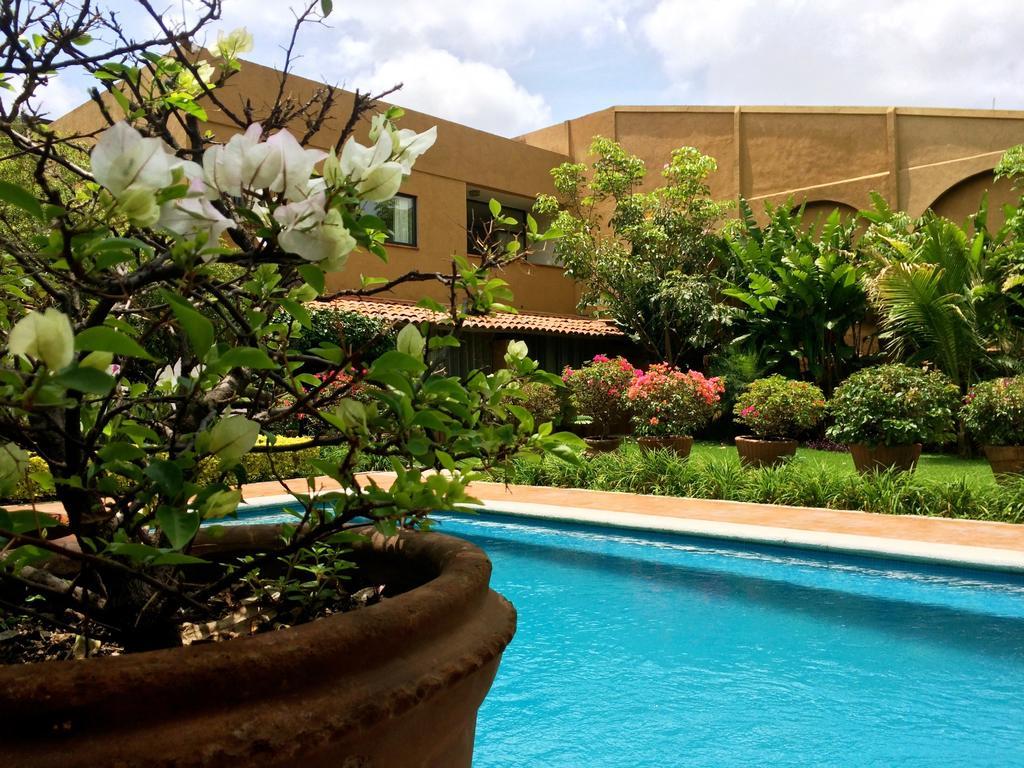 Orchidelirium Casa Hotel & Salud Estetica เควนาวากา ห้อง รูปภาพ