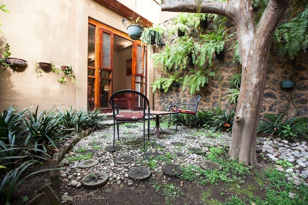 Orchidelirium Casa Hotel & Salud Estetica เควนาวากา ภายนอก รูปภาพ